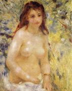 Pierre-Auguste Renoir The female nude under the sun oil painting artist